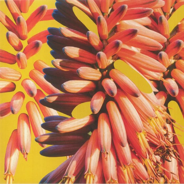 SAMPOLOGY / CHARLIE HILL — Galaxy