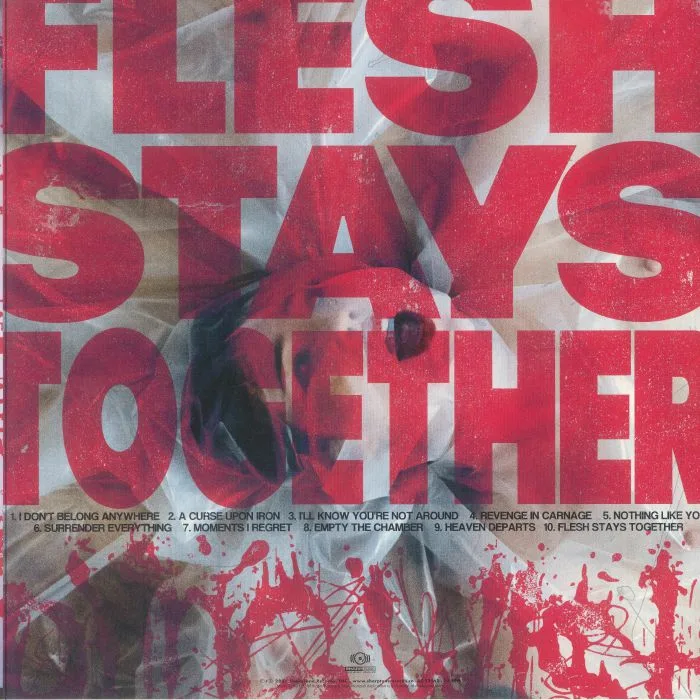 Обратная сторона обложки — DYING WISH — Flesh Stays Together