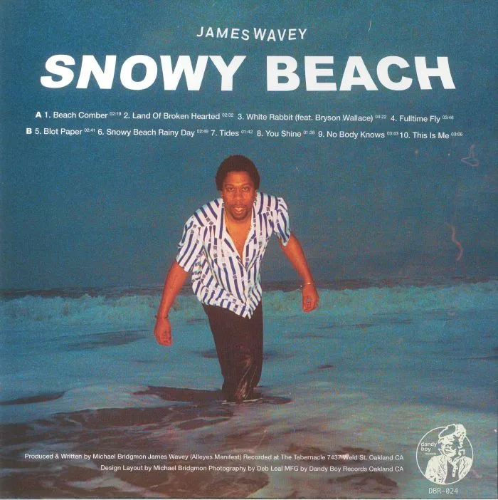 Обратная сторона обложки — James WAVEY — Snowy Beach