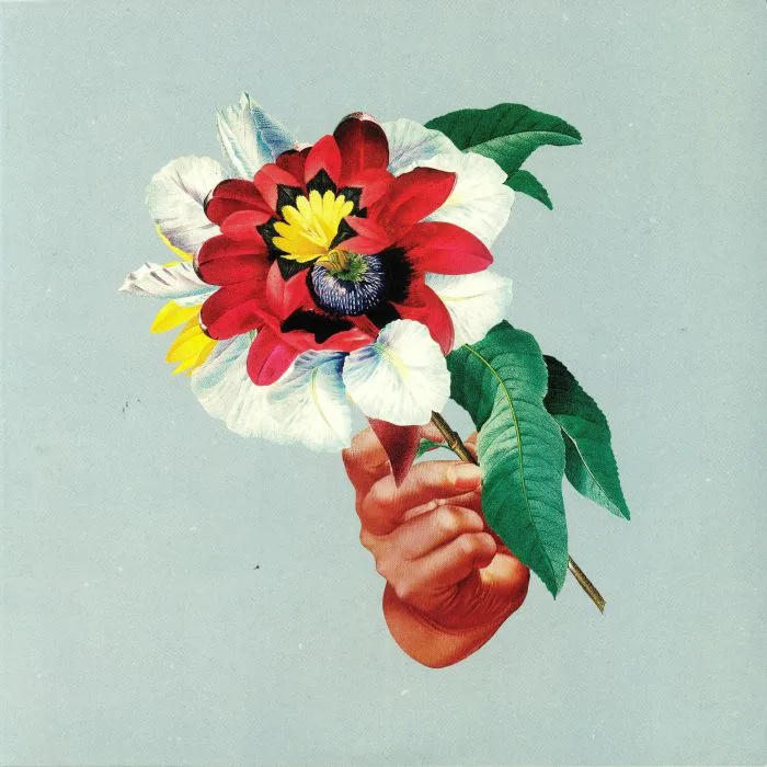 MARIBOU STATE — Kingdoms In Colour