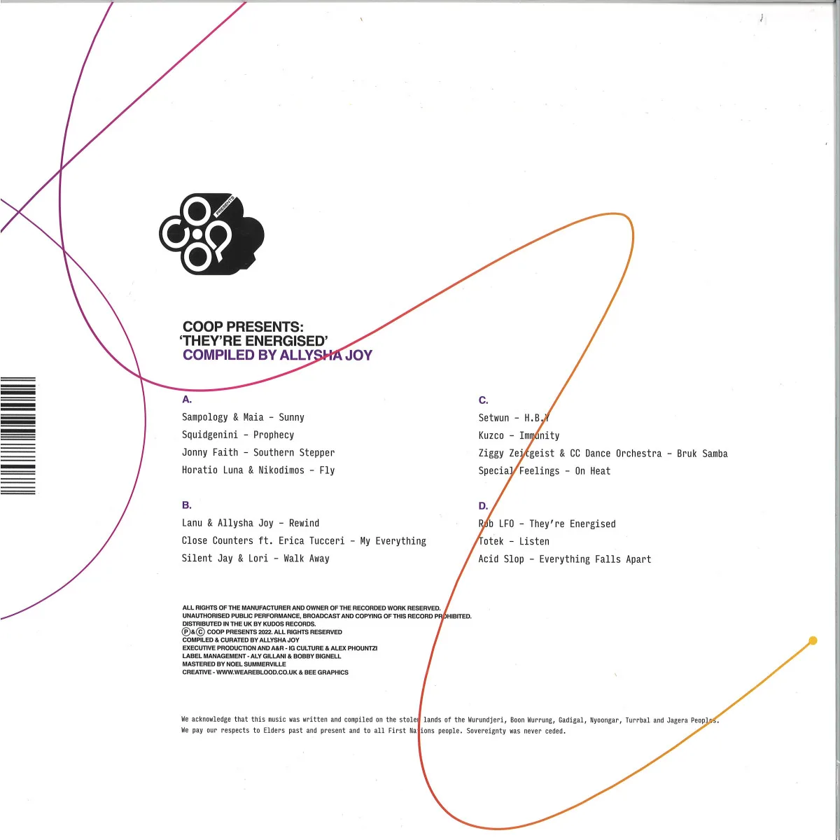Back cover — Allysha Joy — They're Energised LP 2x12"