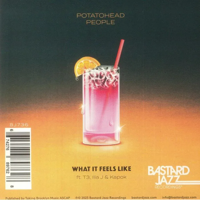 Back cover — POTATOHEAD PEOPLE feat T3 / ILLA J / KAPOK — What It Feels Like (Carrtoons remix)