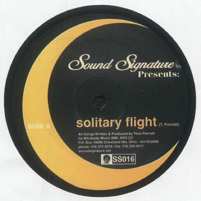 Лицевая сторона обложки — Theo PARRISH — Solitary Flight (reissue with live mix)