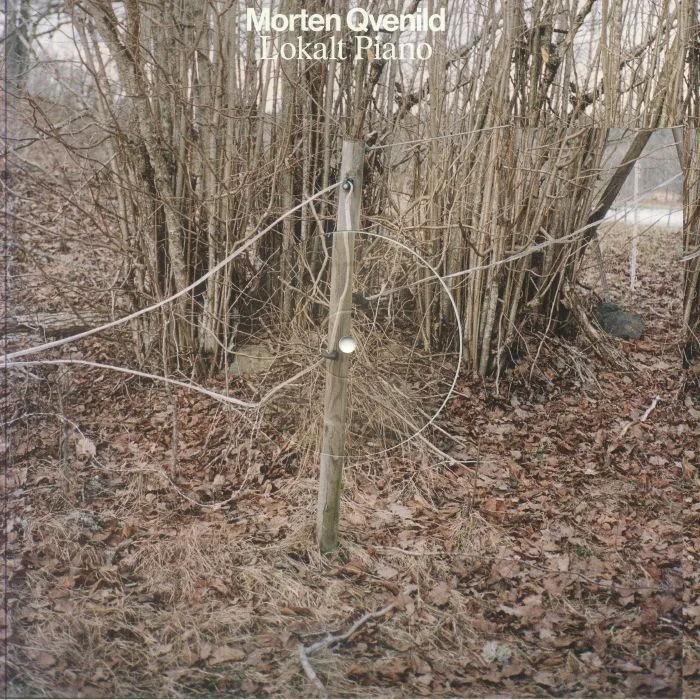 Morten QVENILD — Lokalt Piano