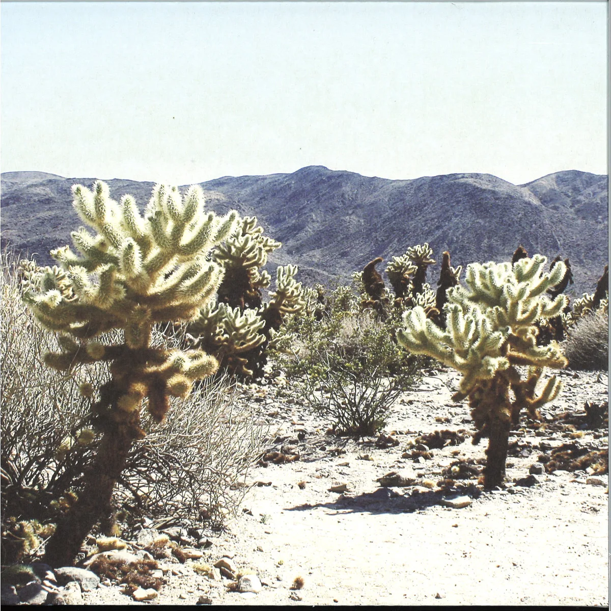 Andrea — Due In Color LP 2x12"