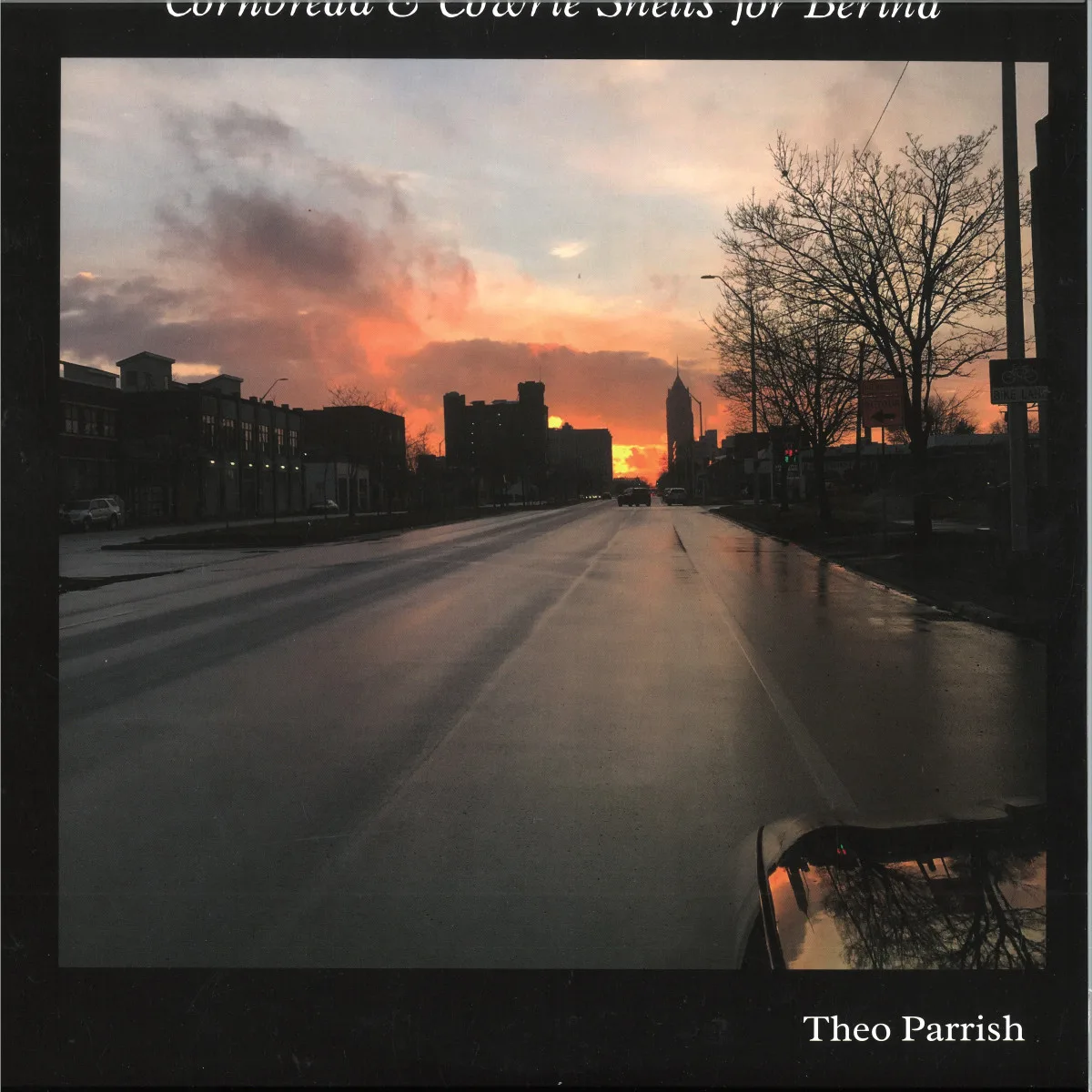 Front cover — Theo Parrish — Cornbread & Cowrie Shells for Bertha 2x12"