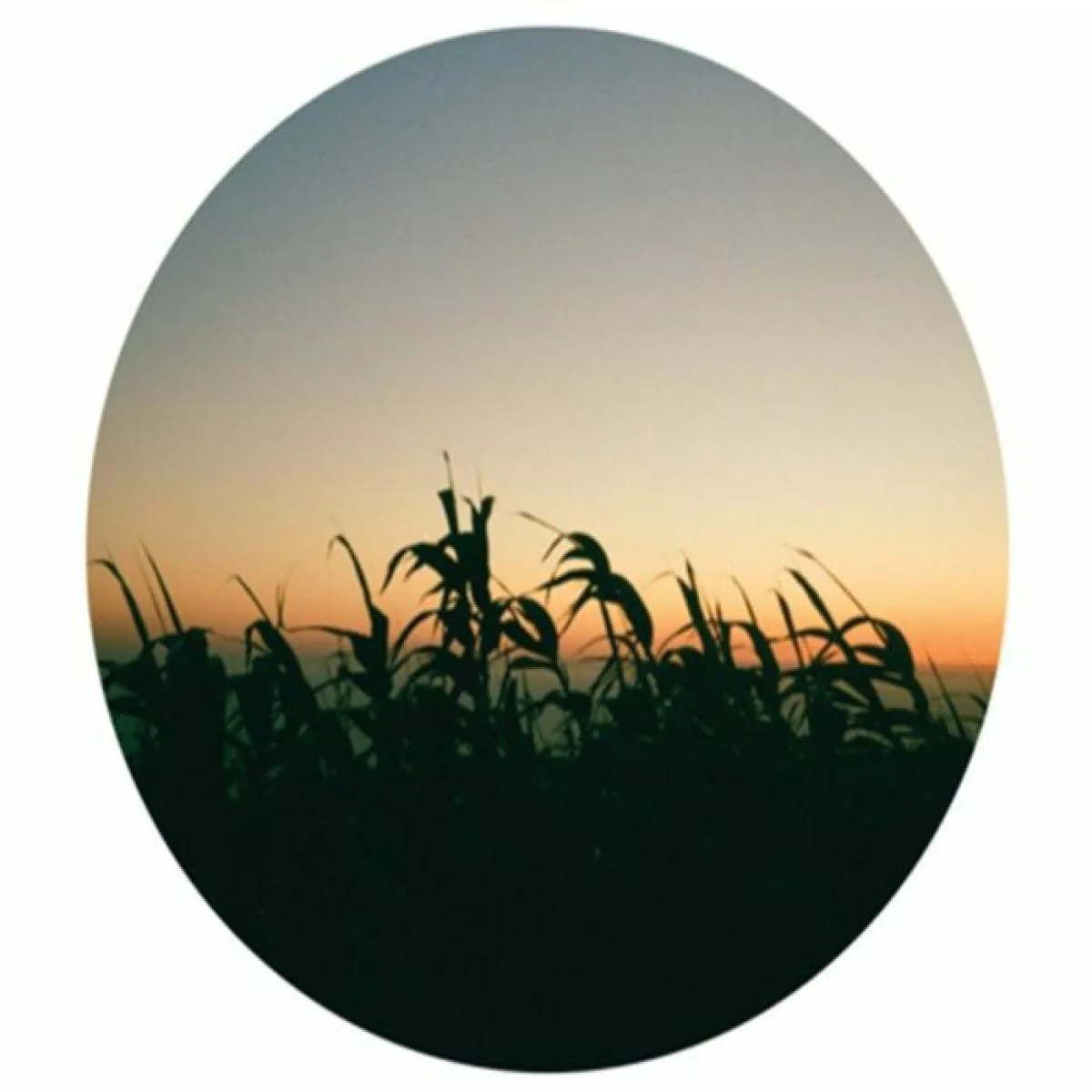 Fold — My Phantasy EP