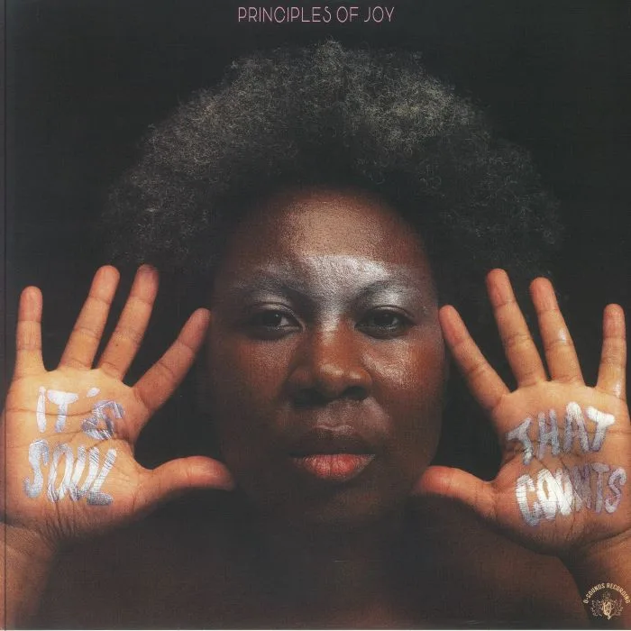 PRINCIPLES OF JOY — It's Soul That Counts