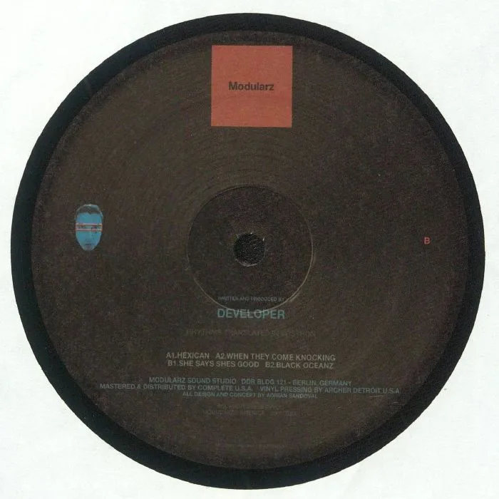 Back cover — DEVELOPER — Rhythms Translated In Vostron