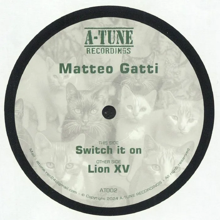 Front cover — Matteo GATTI — Switch It On