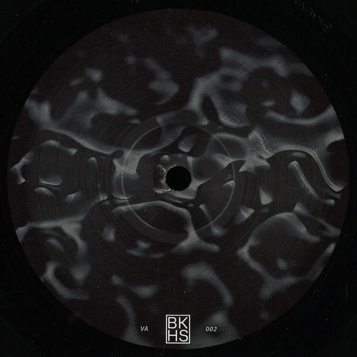 Various — Backhaus VA Vol. 2
