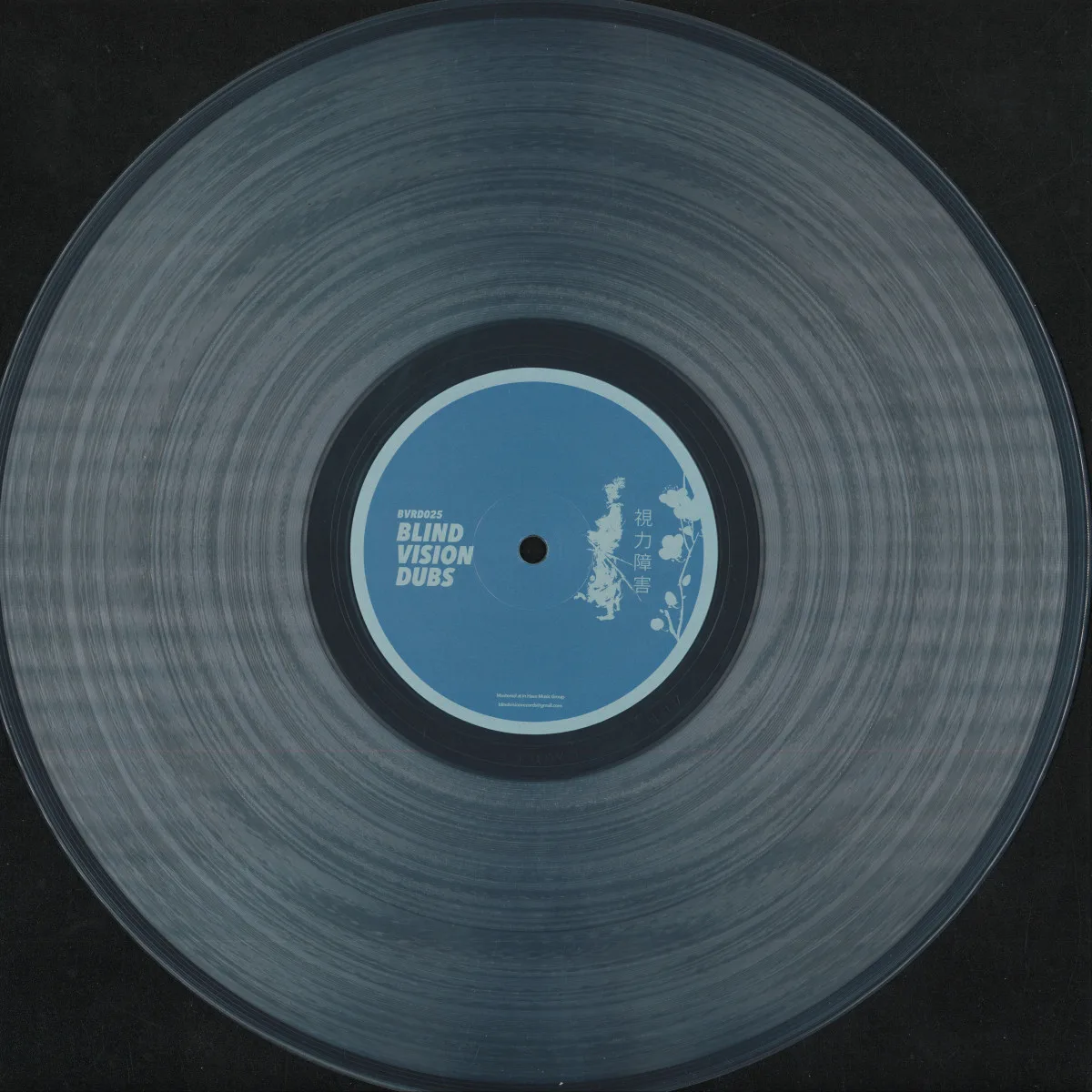 Timid Boy — BVRD025