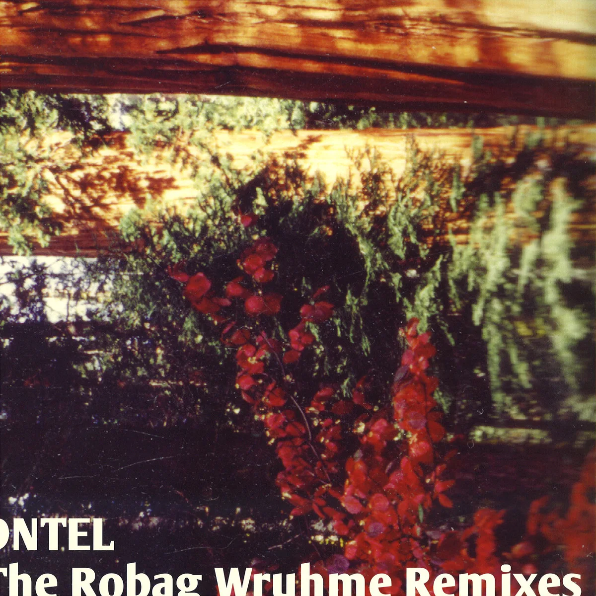 Dntel — The Robag Wruhme Remixes