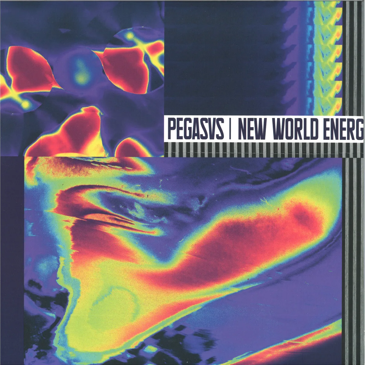 Pegasvs — New World Energy