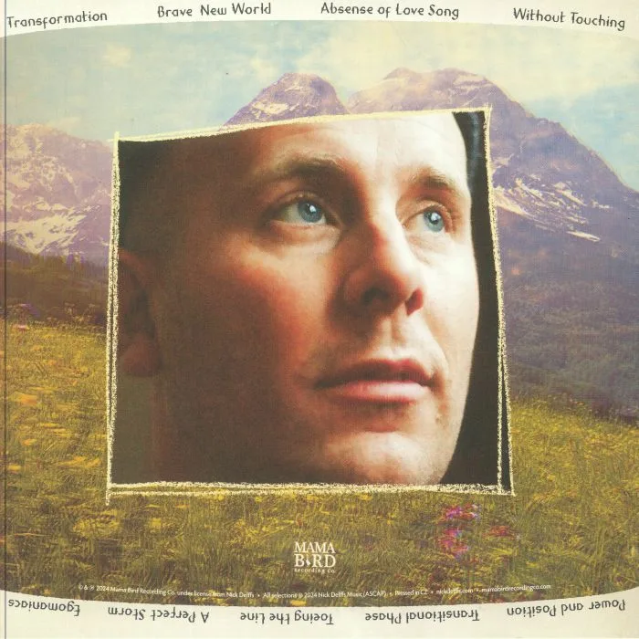 Back cover — Nick DELFFS — Transitional Phase