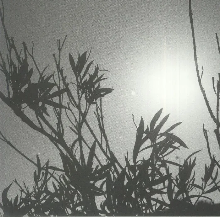 TAN COLOGNE / EARL VALLIE — Sound Mirage From A Desert Community Dispatch