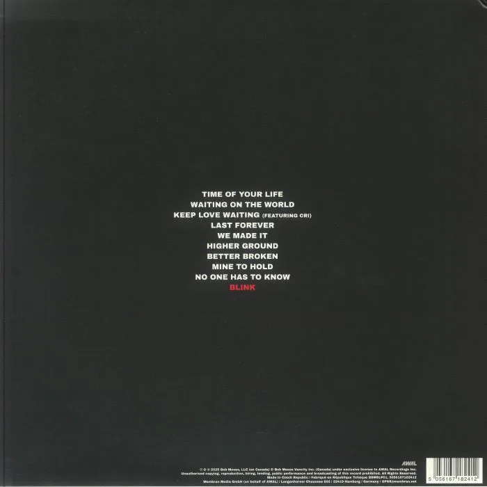 Back cover — BOB MOSES — Blink