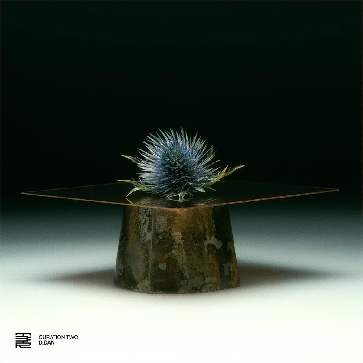 Various — Curation Two: D.Dan