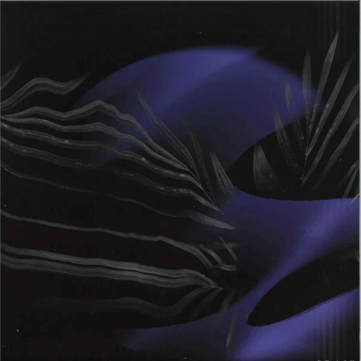 Braik — Los Dos Caminos
