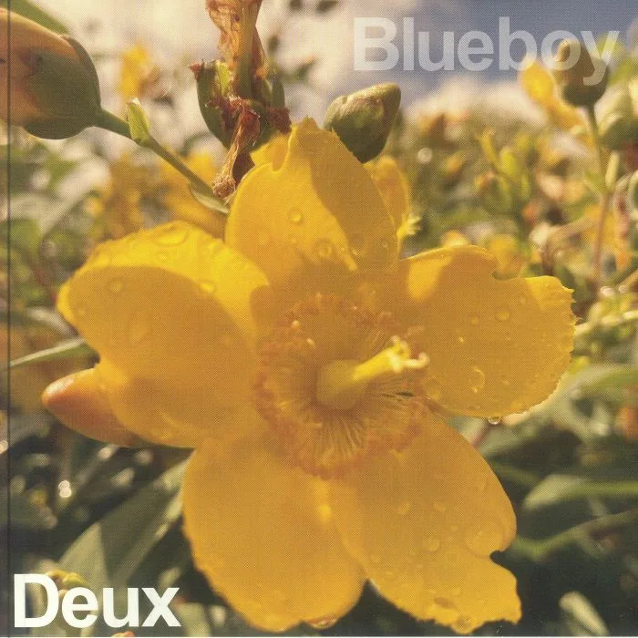 BLUEBOY — Deux