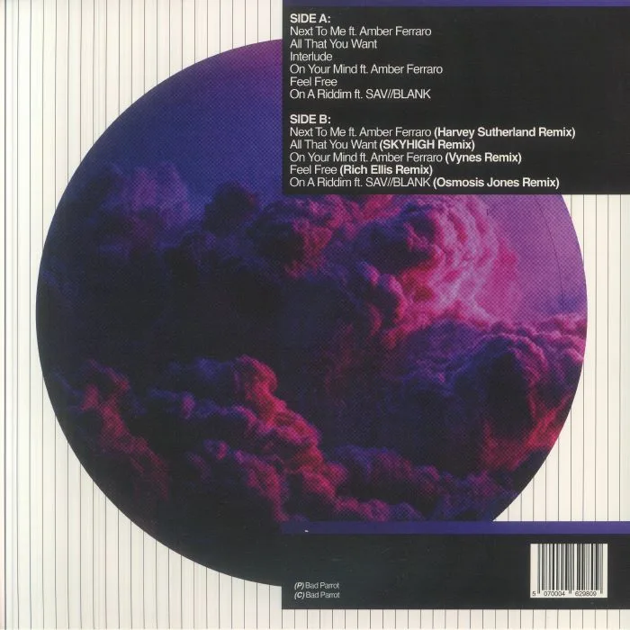 Back cover — ISGWAN — Feel Free (Deluxe Edition) (feat Harvey Sutherland, SKYHIGH, VYNES, Rich Ellis, Osmosis Jones mixes)