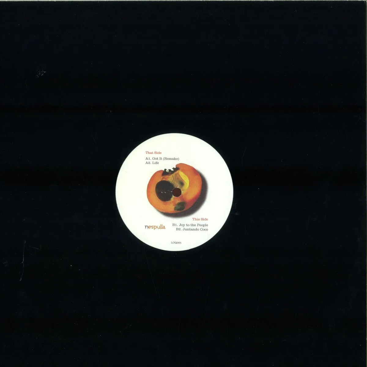 Обратная сторона обложки — Tim Hudson — The Loquat