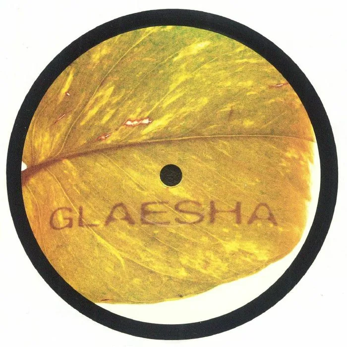 Лицевая сторона обложки — GLAESHA — Memory Implant