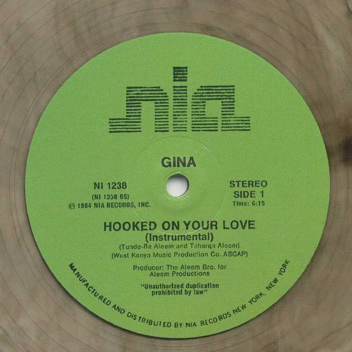 GINA — Hooked On Your Love