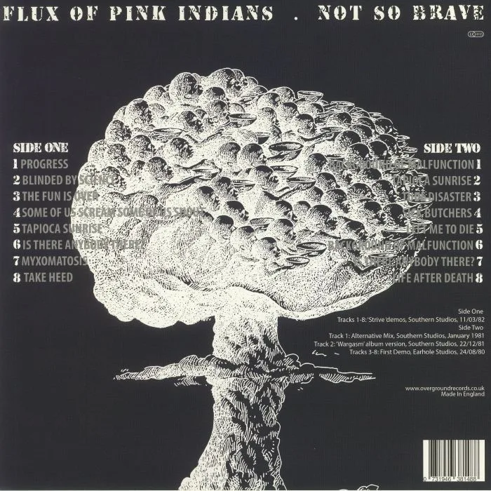 Обратная сторона обложки — FLUX OF PINK INDIANS — Not So Brave