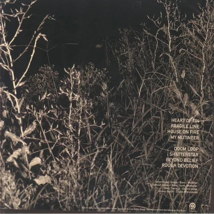 Back cover — Zachary CALE — Next Year's Ghost