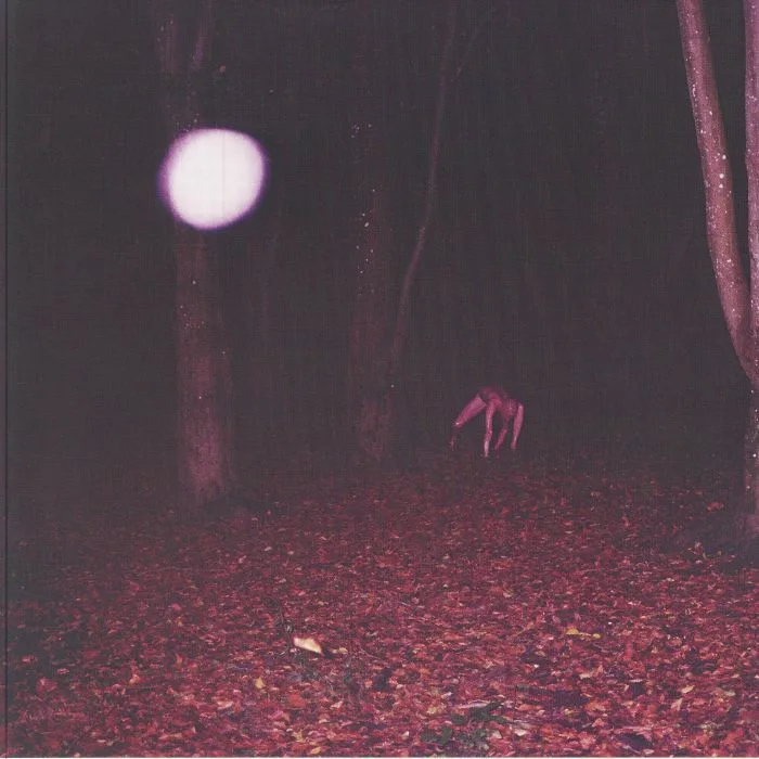 Лицевая сторона обложки — BUZZARD BUZZARD BUZZARD — Skinwalker