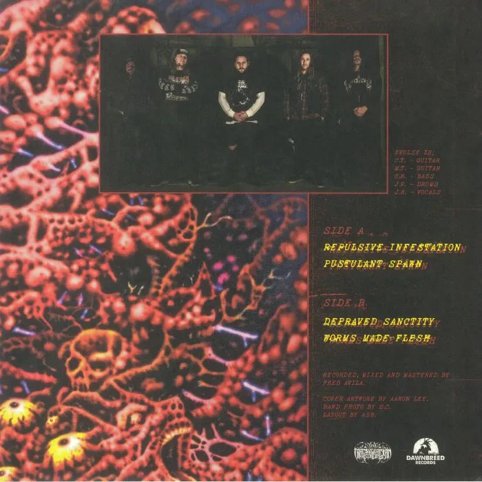 Back cover — EVULSE — Pustulant Spawn