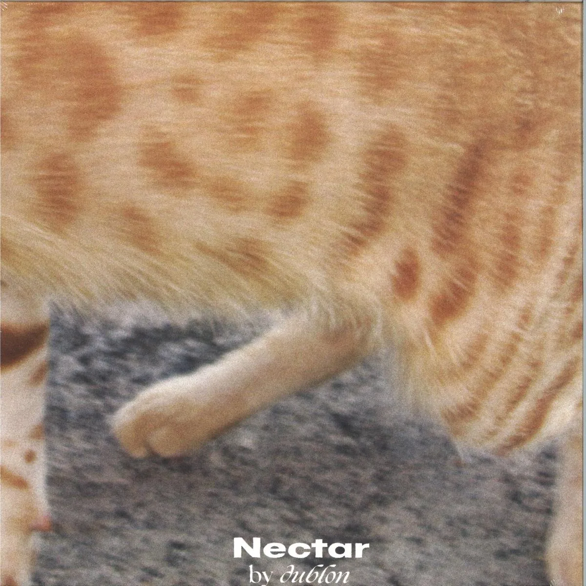 Лицевая сторона обложки — Dublon — Nectar (2026 repress)