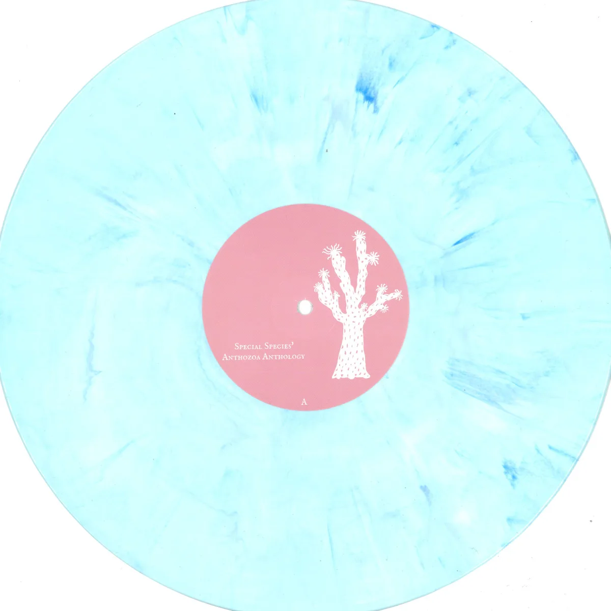 Лицевая сторона обложки — Various — Special Species' Anthozoa Anthology LP 2x12"