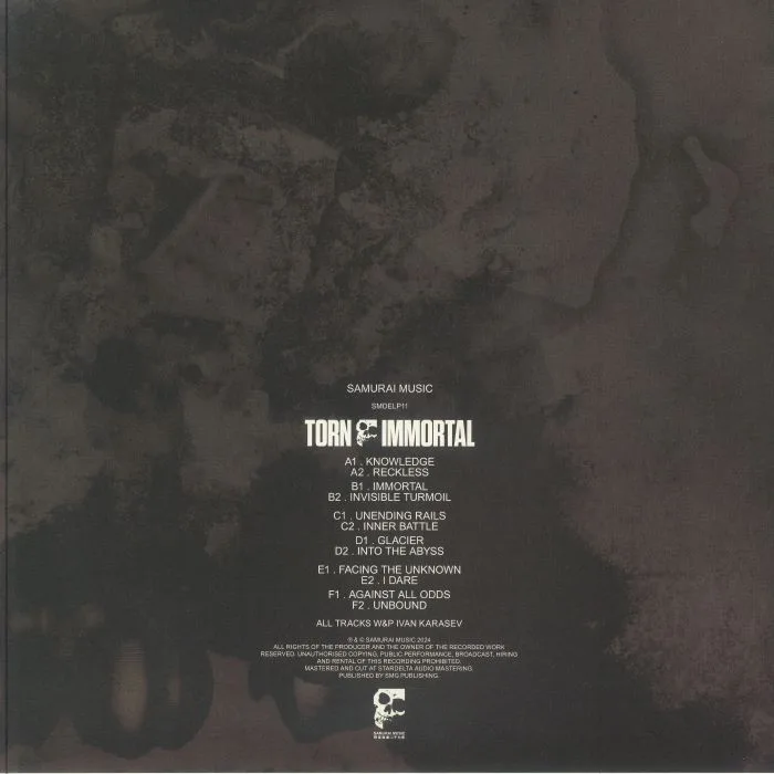 Обратная сторона обложки — TORN — Immortal