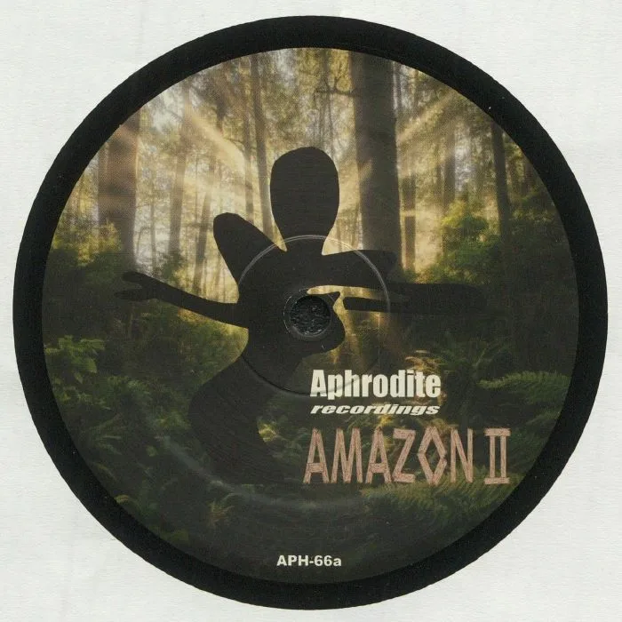 Лицевая сторона обложки — AMAZON II — Originals