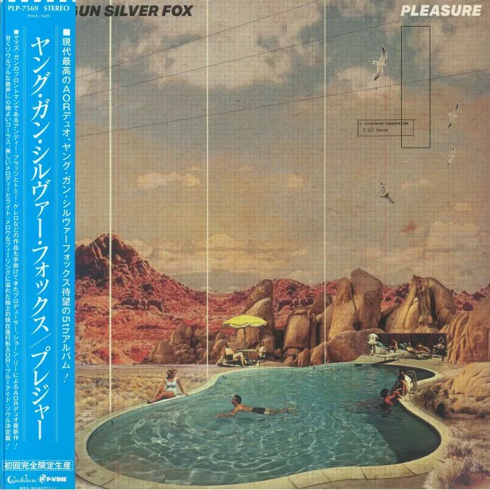 YOUNG GUN SILVER FOX — Pleasure