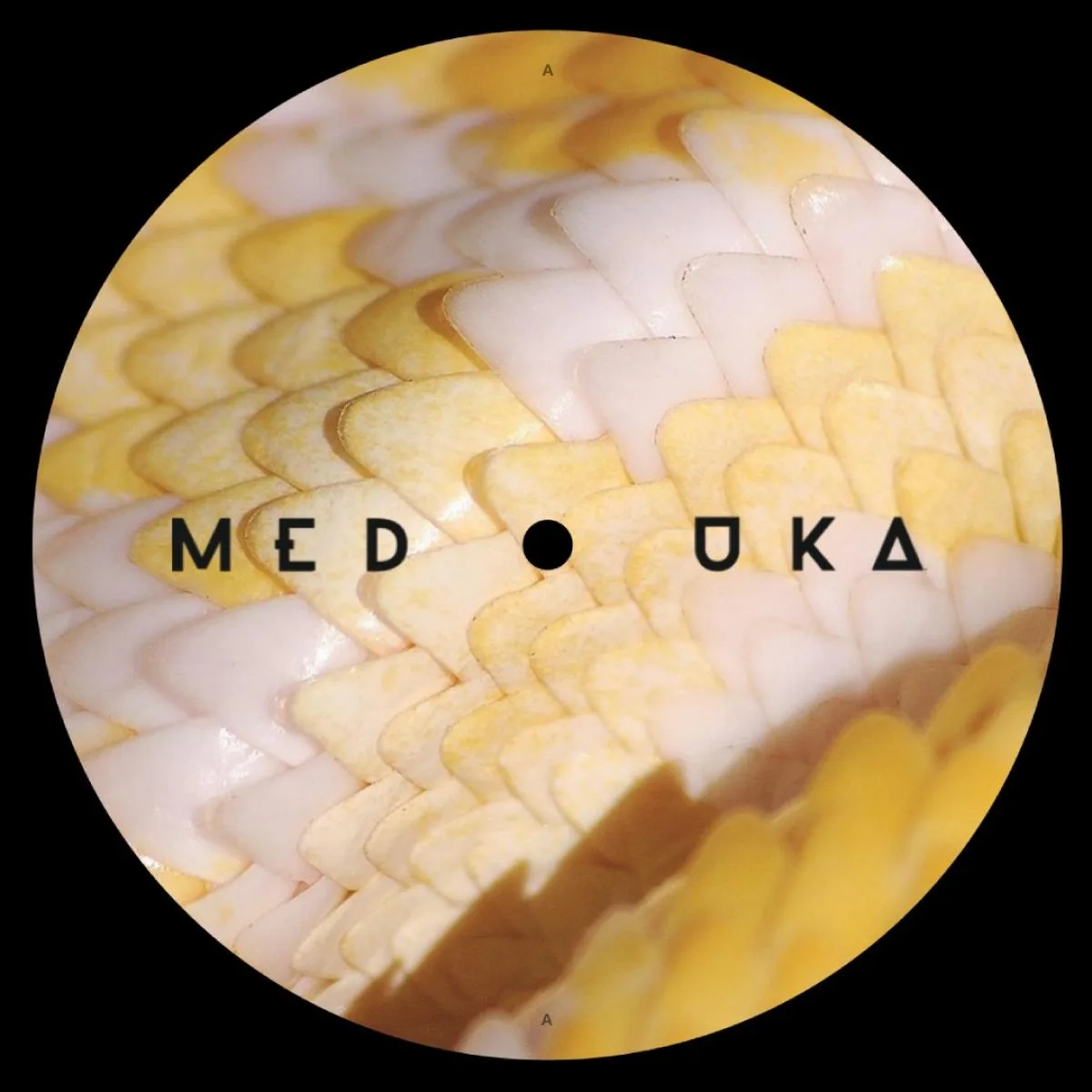 Paularner — Medusa EP