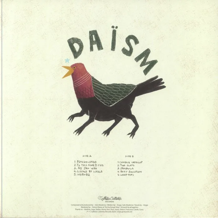 Обратная сторона обложки — SOLO MODERNA — Daism
