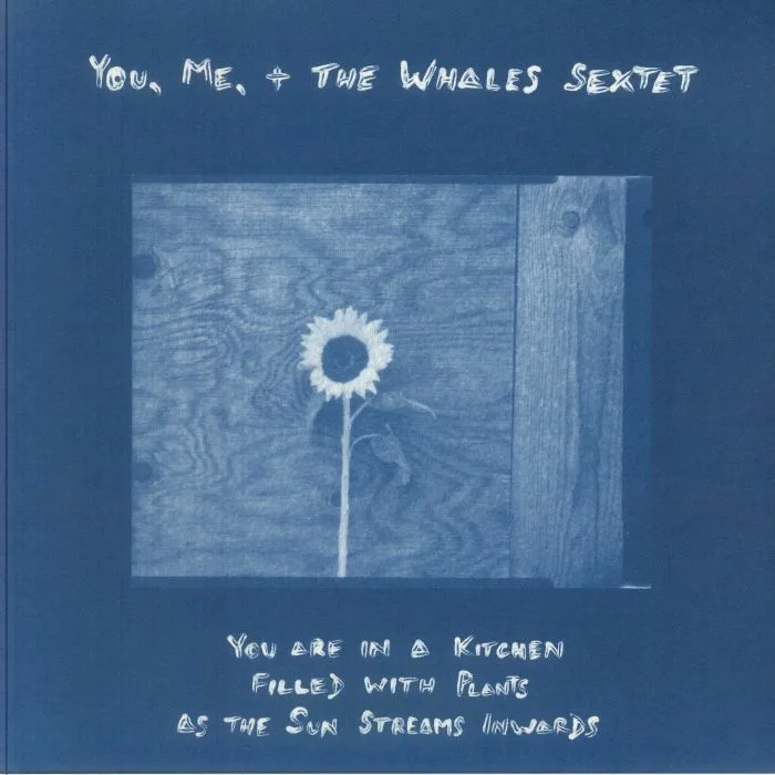 YOU ME & THE WHALES SEXTET — You Are In A Kitchen Filled With Plants As The Sun Streams Inwards