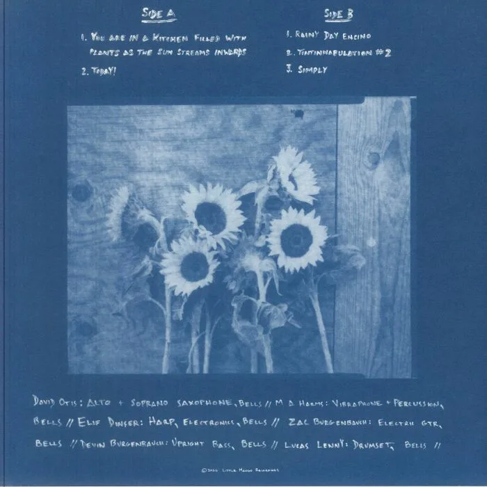 Back cover — YOU ME & THE WHALES SEXTET — You Are In A Kitchen Filled With Plants As The Sun Streams Inwards