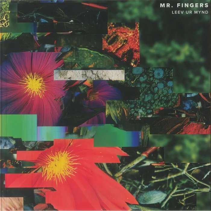 Front cover — MR FINGERS — Leev Ur Mynd