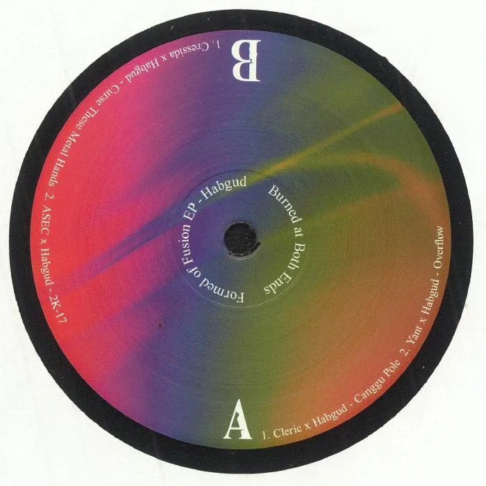 Back cover — HABGUD / CLERIC / YANT / CRESSIDA / ASEC — Formed Of Fusion EP