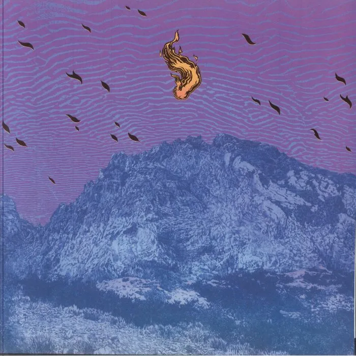 PELICAN — Flickering Resonance