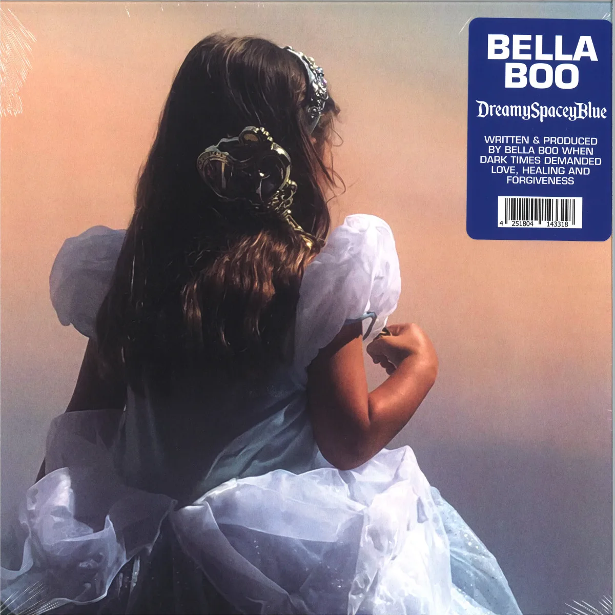 Обратная сторона обложки — Bella Boo — DreamySpaceyBlue