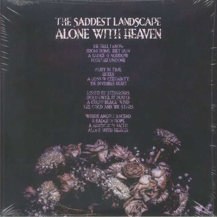 Обратная сторона обложки — The SADDEST LANDSCAPE — Alone With Heaven