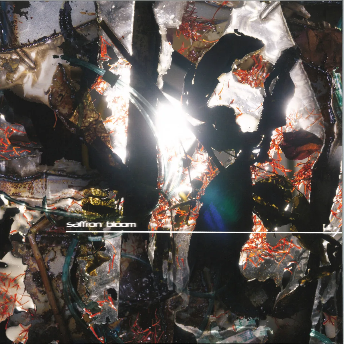 Saffron Bloom — Saffron Bloom LP