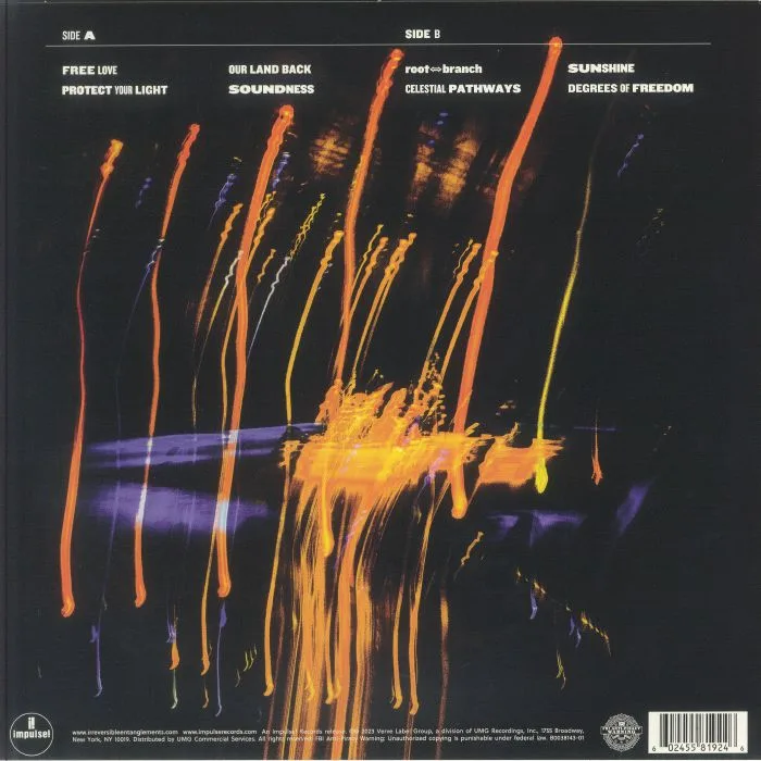 Обратная сторона обложки — IRREVERSIBLE ENTANGLEMENTS — Protect Your Light