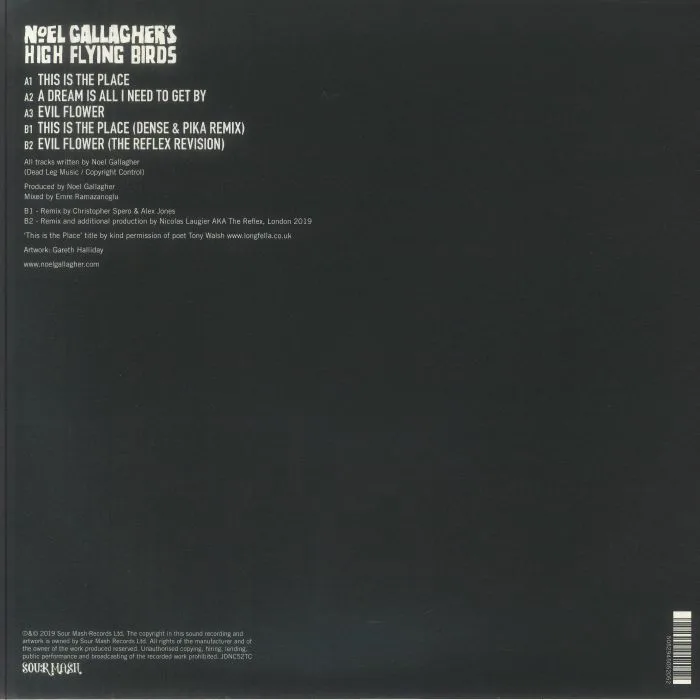 Back cover — NOEL GALLAGHER'S HIGH FLYING BIRDS — This Is The Place