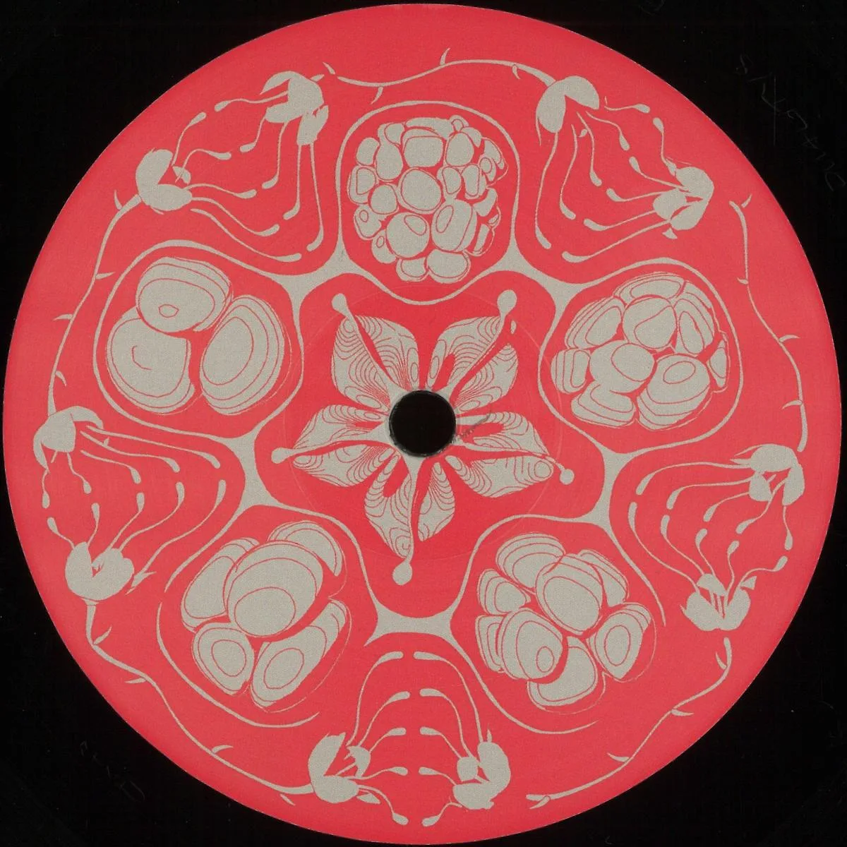 Framboisier — Planetary Vision EP